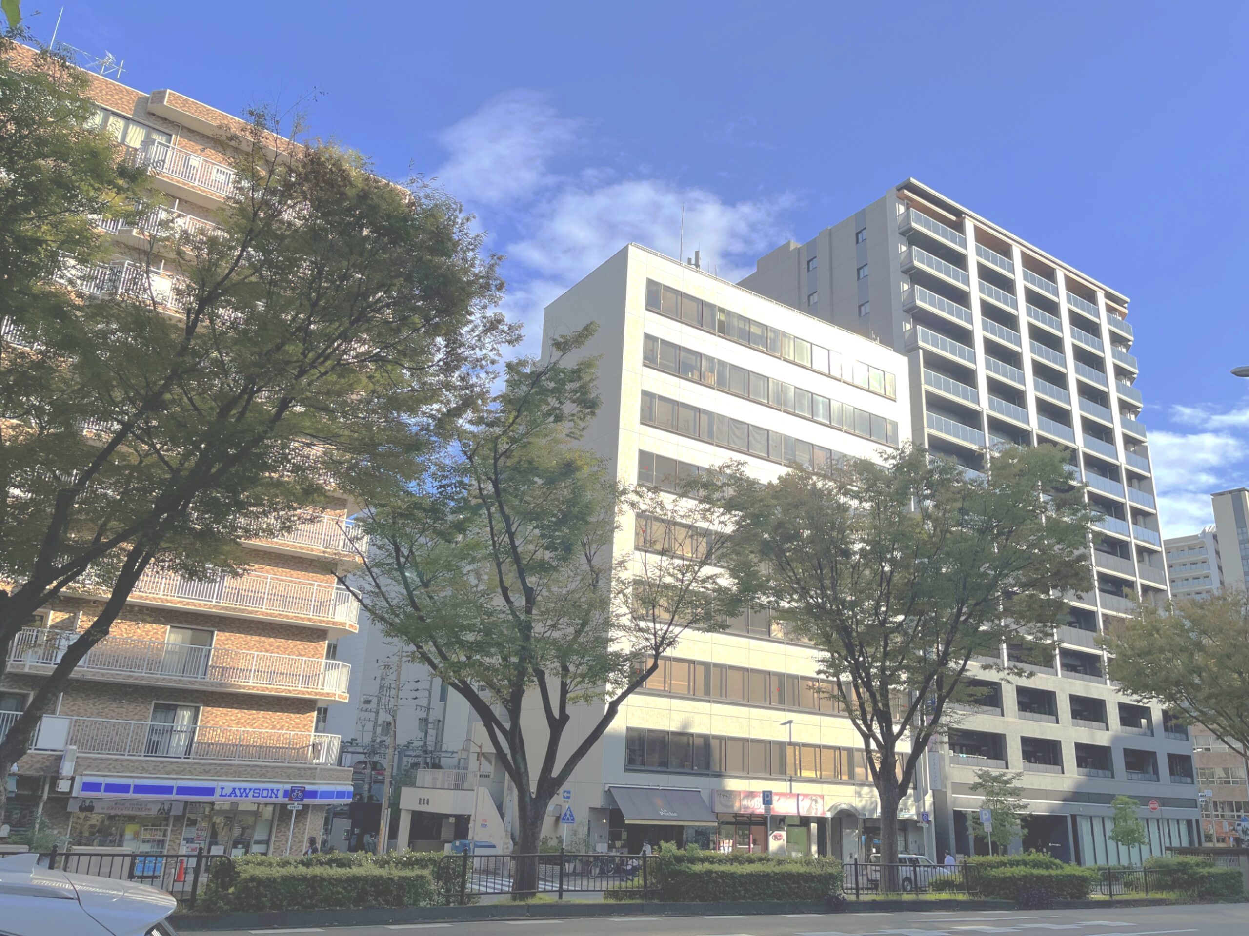 シンプルでカスタマイズしやすいWordPress.org登録テーマ